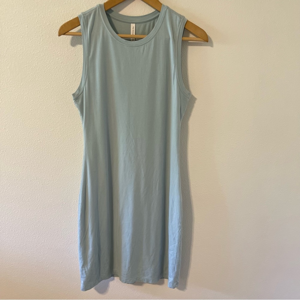Aritzia The Group Babaton Tiff Dress Sea Spray Sleeveless Fitted Pima Cotton-M